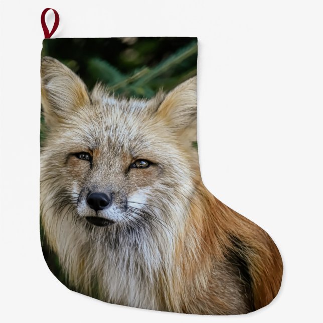 Wild Fox Large Christmas Stocking (Front)