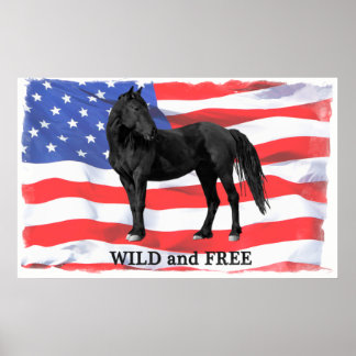 Wild & Free American Wild Horse Poster