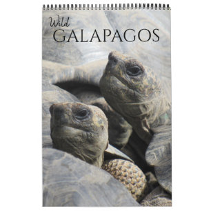 wild galapagos 2027 calendar