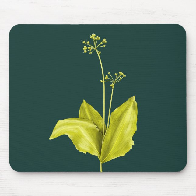 Wild Garlic Green Plant Nature Lover Botanist Mouse Pad (Front)
