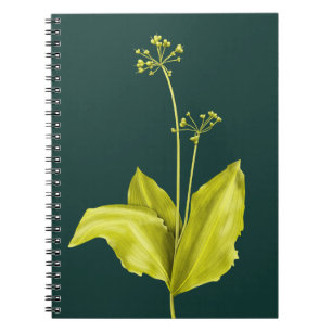 Wild Garlic Green Plant Nature Lover Botanist Notebook