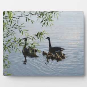 Wild Geese Plaque