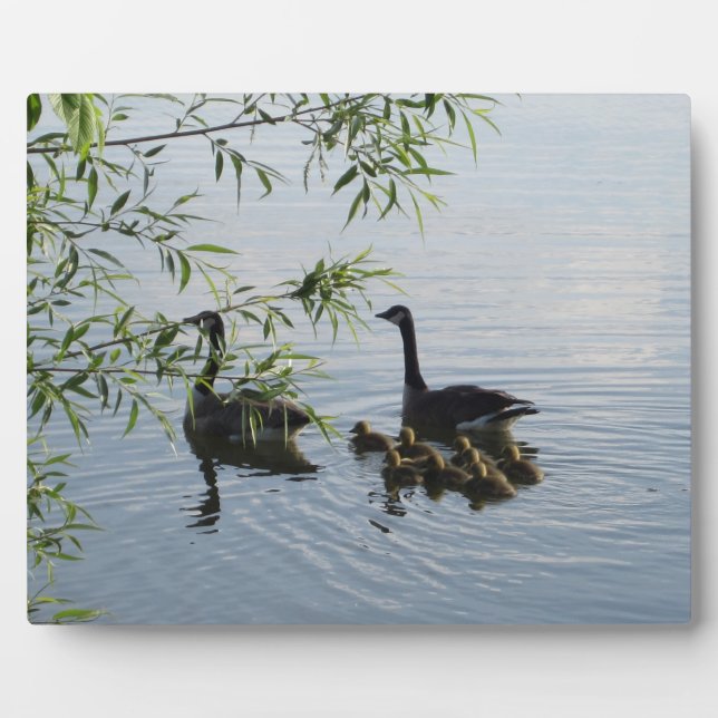 Wild Geese Plaque (Front)