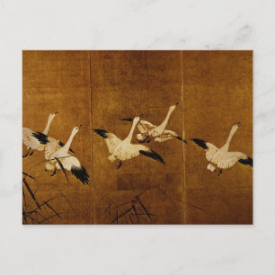 Wild Geese Postcard