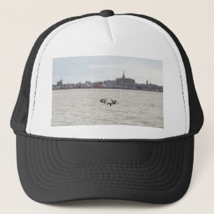 Wild Geese Trucker Hat