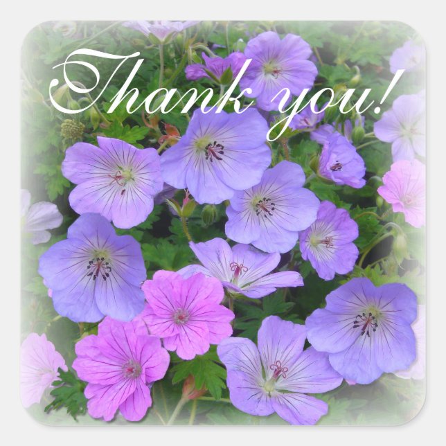 WILD GERANIUM ~ Square Envelope Sealer/Sticker Square Sticker (Front)