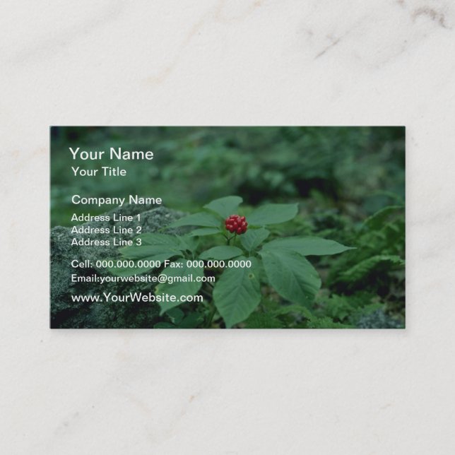 Wild Ginseng (Panax Quinquefolius) flowers Business Card (Front)