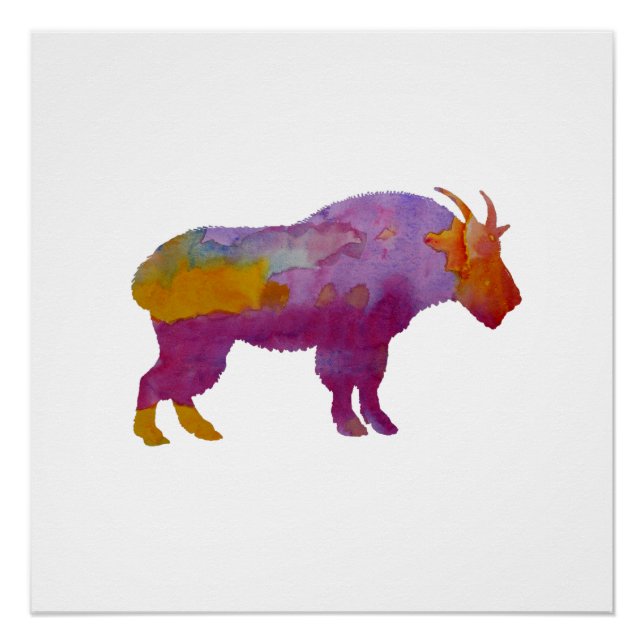Wild Goat Poster (Front)