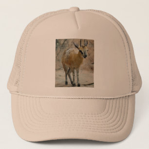 Wild Goats Trucker Hat