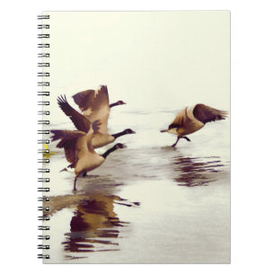 "Wild Goose Chase"   -  Running Geese Notebook