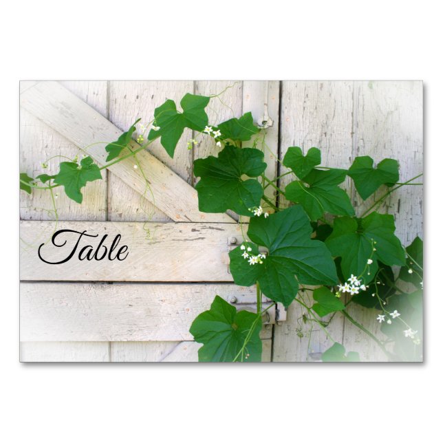 Wild grapevine table cards (Front)