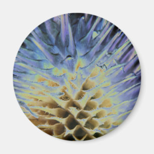 Wild Grass Explosion Magnet