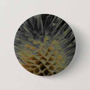 Wild Grass Supernova Button
