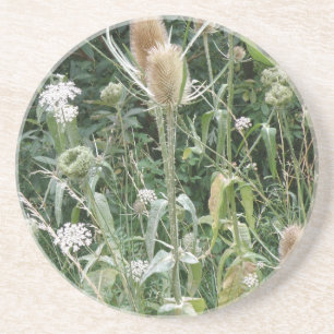 Wild Grasses Coasters