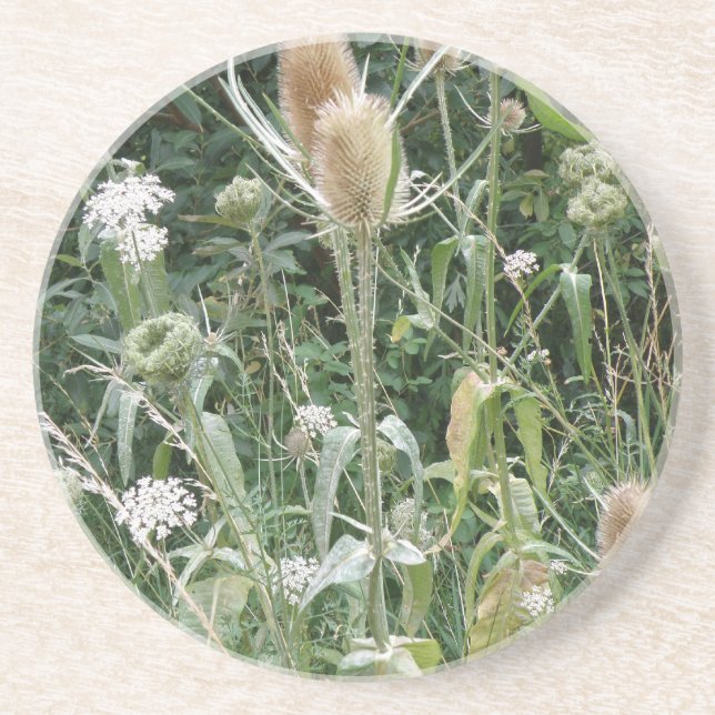 Wild Grasses Coasters (Front)