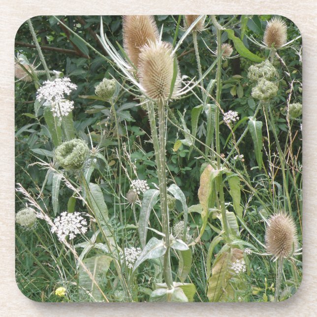 Wild Grasses Cork Coaster (Front)