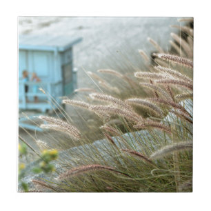 Wild grasses on Malibu beach California Tile