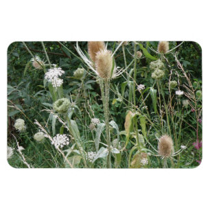 Wild Grasses Premium Magnet
