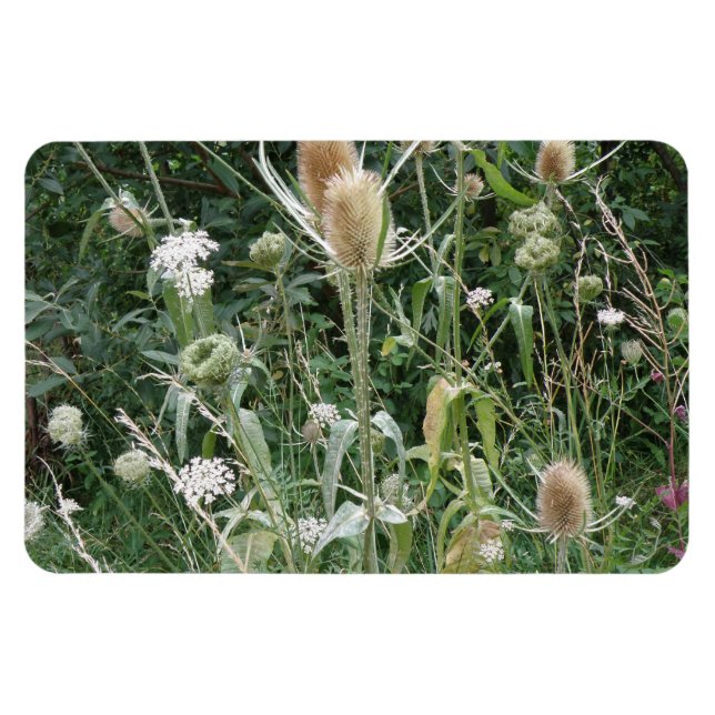Wild Grasses Premium Magnet (Horizontal)