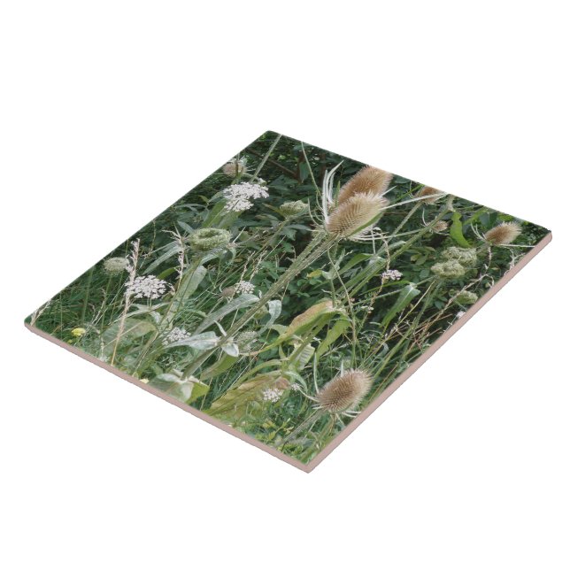 Wild Grasses Tile (Side)