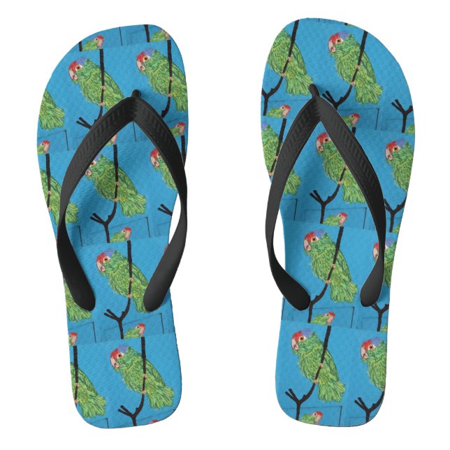 wild green parrots blue thongs (Footbed)