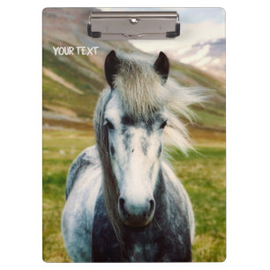 Wild Grey Horse Clipboard