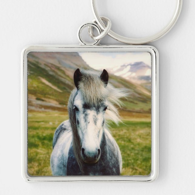 Wild Grey Horse in the Mountains Key Ring (Front)