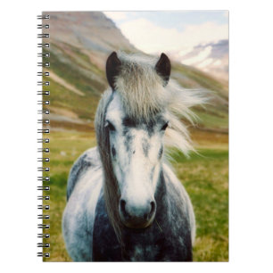 Wild Grey Horse in the Mountains Notebook