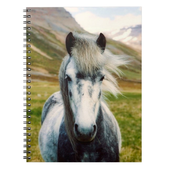 Wild Grey Horse in the Mountains Notebook (Front)