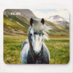 Wild Grey Horse Mouse Pad