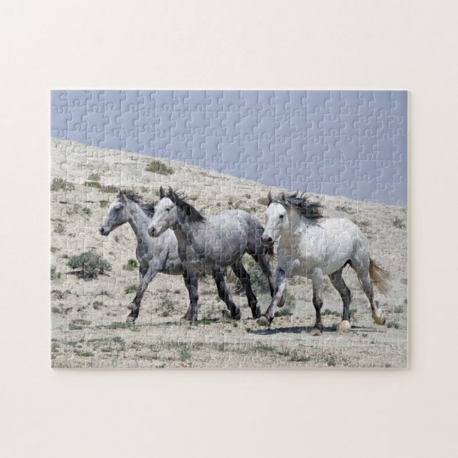 Wild Grey Horses Jigsaw Puzzle (Horizontal)