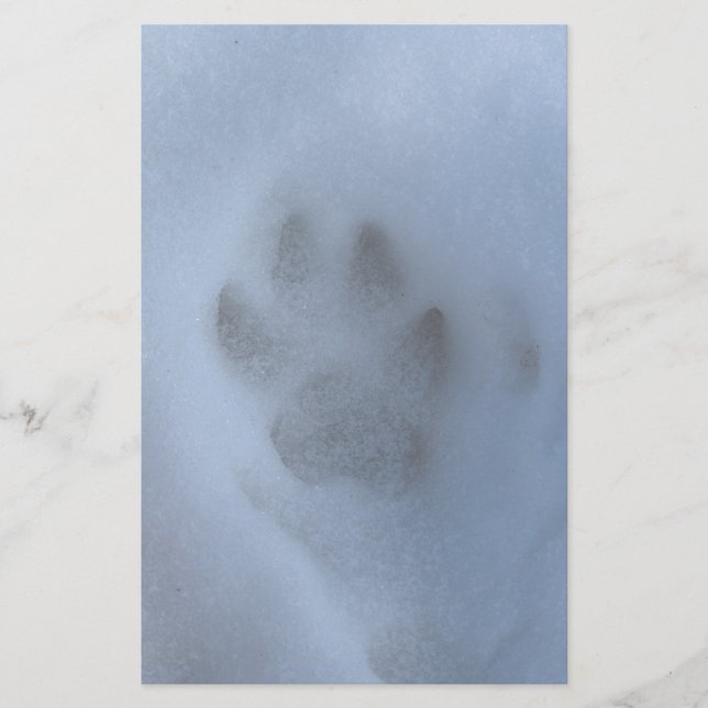Wild Grey Wolf Paw Print in Winter Snow Stationery (Front)