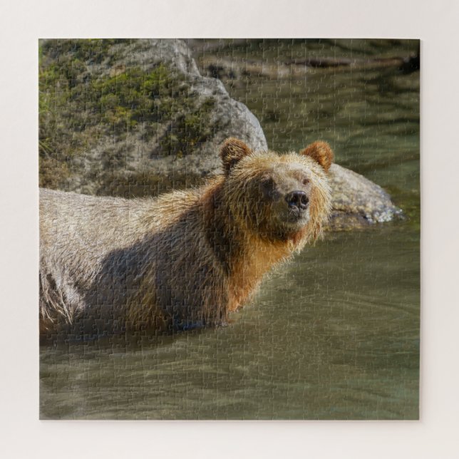 Wild Grizzly Bear At The Orford River Jigsaw Puzzle (Vertical)