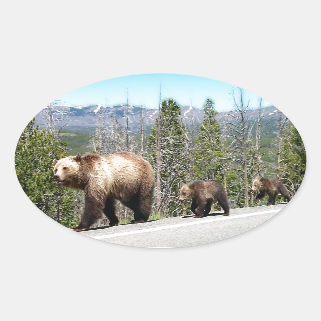 Wild Grizzly Bear Mama and Cubs in Yellowstone Oval Sticker (Front)