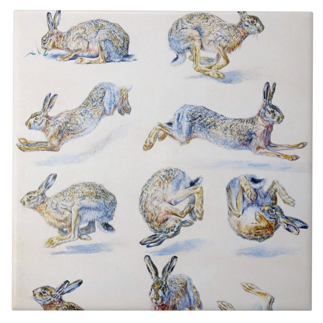 Wild Hare (Rabbit) Studies, Bruno Liljefors Ceramic Tile (Front)