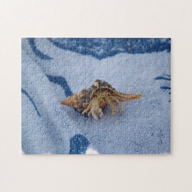 Wild Hermit Crab In Shell Ocean Life Photo Jigsaw Puzzle (Horizontal)