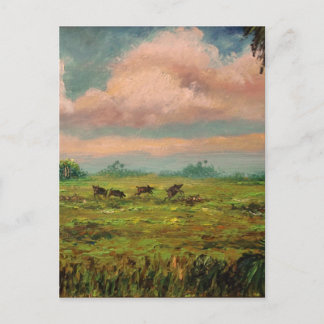 Wild Hog Hunting in Florida Postcard