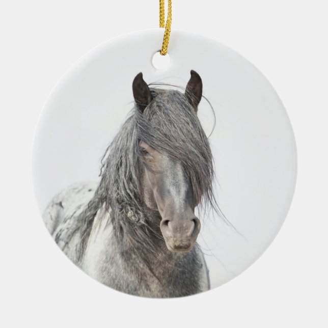 Wild Hoofbeats Ornament - Blue Zeus Portrait  (Front)