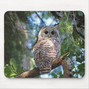 Wild Hoot Owl Staring in Forest Mouse Pad