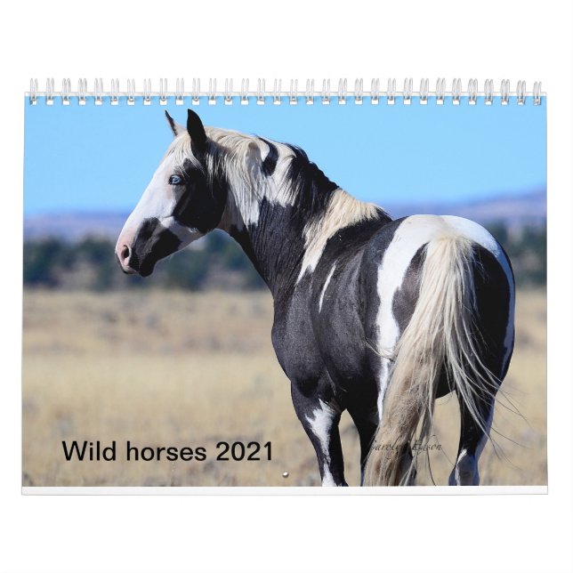 Wild horse 2018 calander by Photography By Carolyn Calendar (Cover)