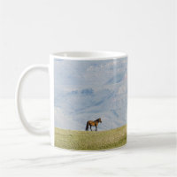 Wild Horse