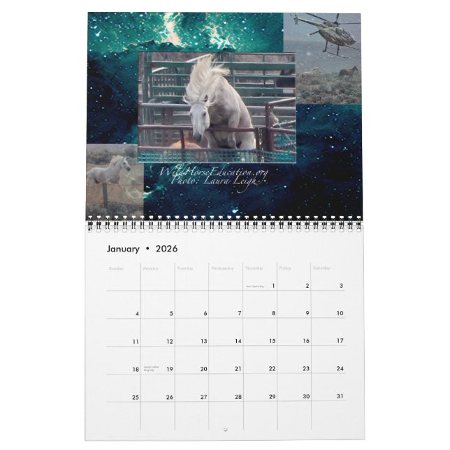 Wild Horse Education ... a calendar (Jan 2026)