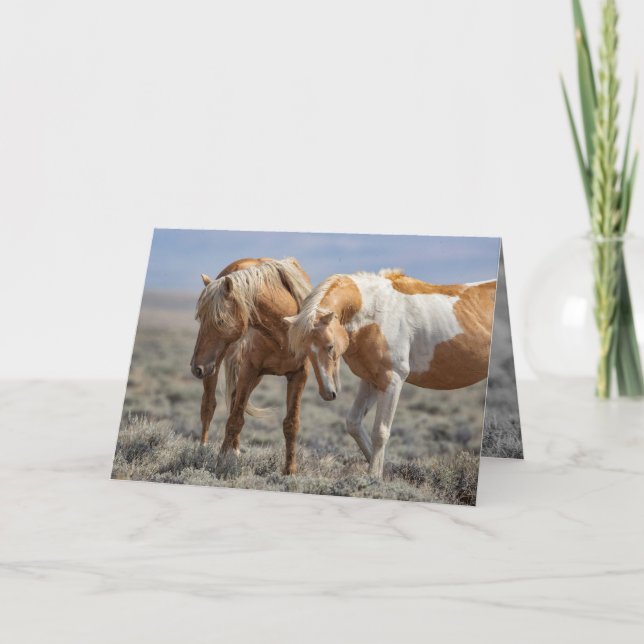 Wild Horse Father and Son Wild Horse Greeting Card (Front)