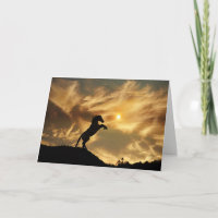 Wild Horse Funny Birthday Card