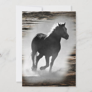 Wild Horse Galloping