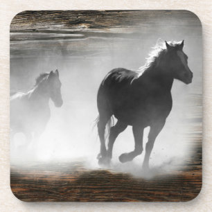 Wild Horse Galloping Coaster