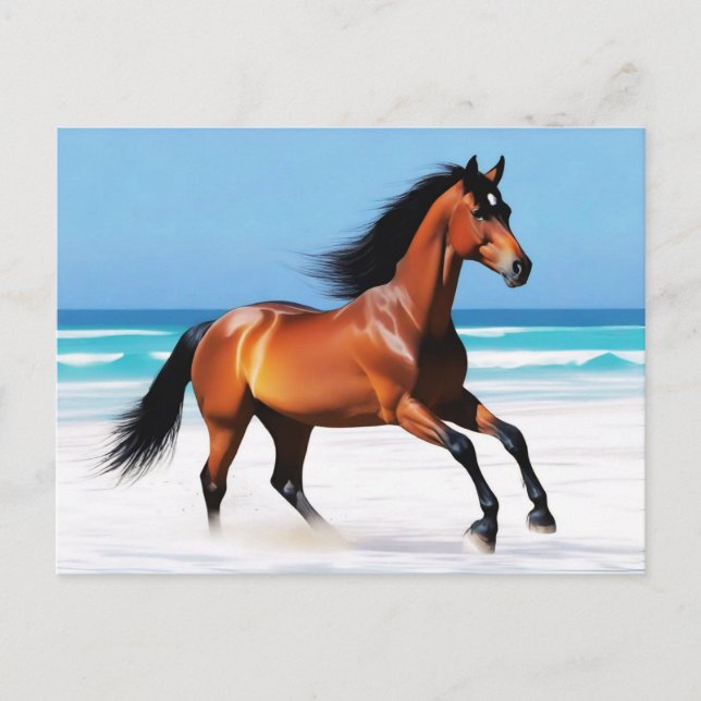 Wild Horse Galloping on a Beach Postcard (Front)