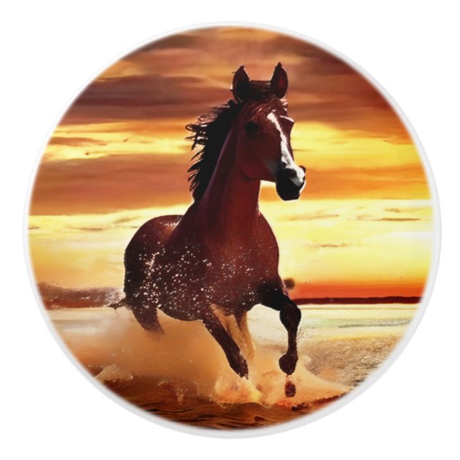 Wild Horse Galloping Through Surf Ceramic Knob (Front)