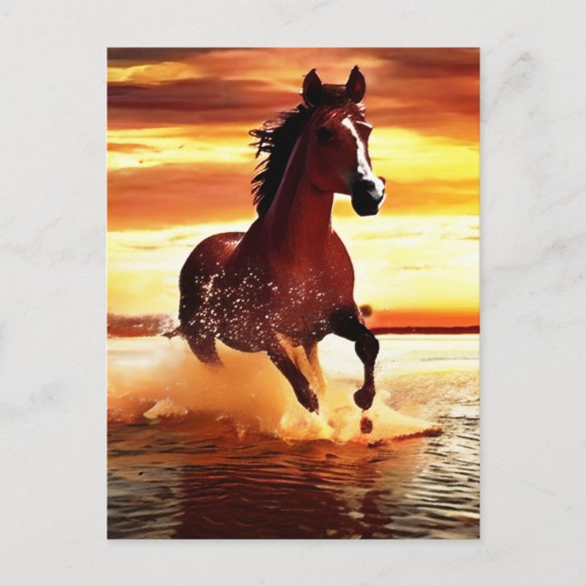 Wild Horse Galloping Through Surf Postcard (Front)