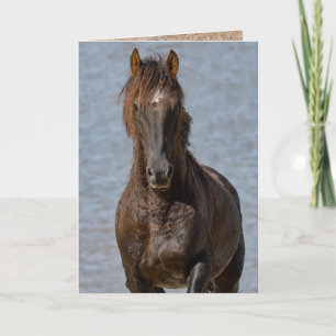 Wild Horse Greeting Card - Bonfire